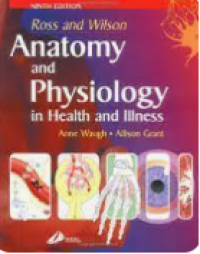 Image of Anatomy and Physiology in Health and Illness
