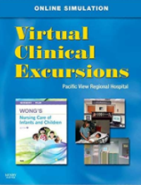Virtual Clinical Excursions; Pacific View Regional Hospital